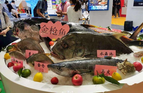 第六届中国 广州 国际渔业博览会今日开幕